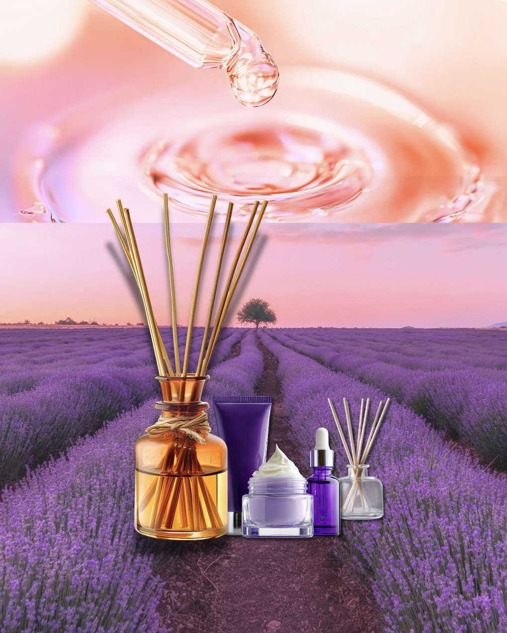 향기 화장품 제조 ISO와 벤처인증